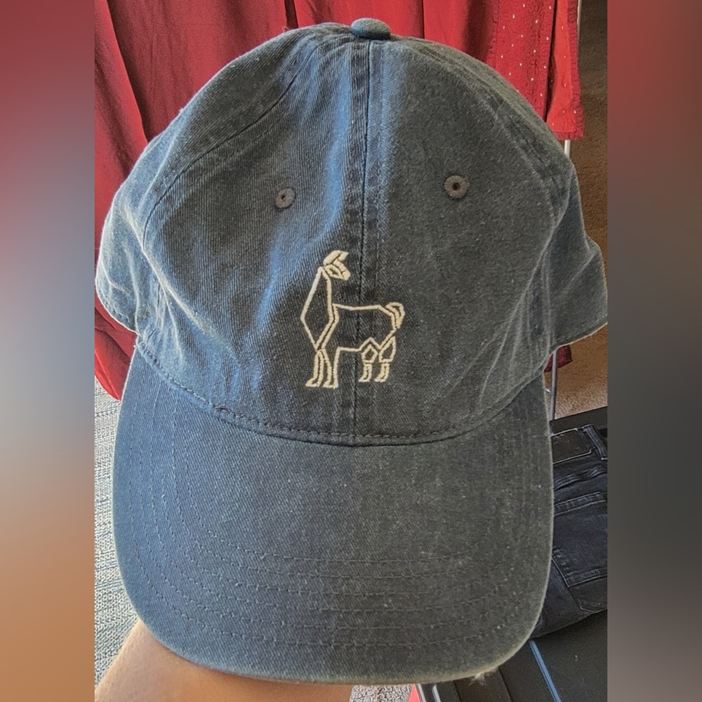 Black Cap with Embroidered Llama